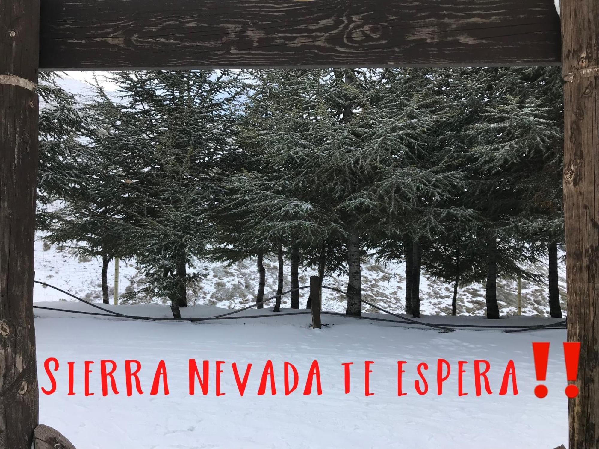 Inside Plaza Sierra Nevada Διαμέρισμα Εξωτερικό φωτογραφία