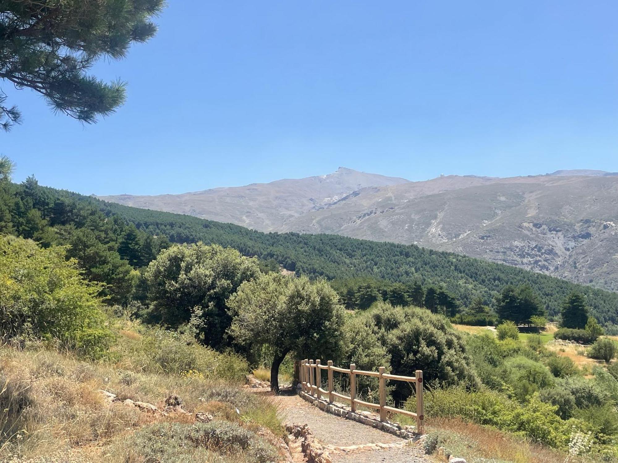 Inside Plaza Sierra Nevada Διαμέρισμα Εξωτερικό φωτογραφία